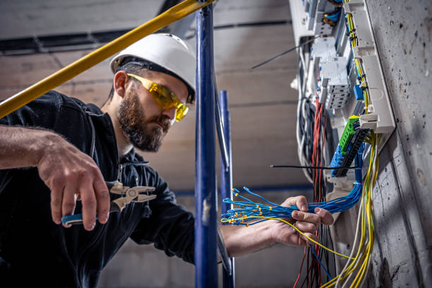 Best Residential Electrician Services  in Paisley, FL
