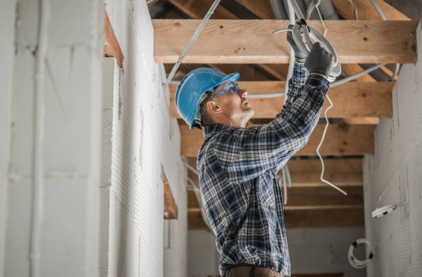 Best Electric Panel Repair  in Paisley, FL