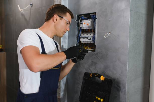 Best Electrical System Inspection  in Paisley, FL