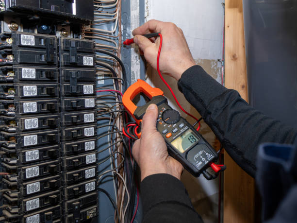 Best Affordable Electrician  in Paisley, FL
